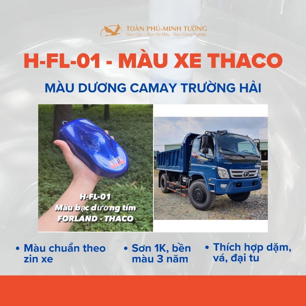 H-FL-01 — Màu dương camay Trường Hải